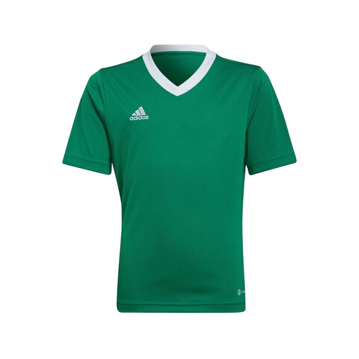 adidas Îmbracaminte T-shirt entrada 22 vert/white