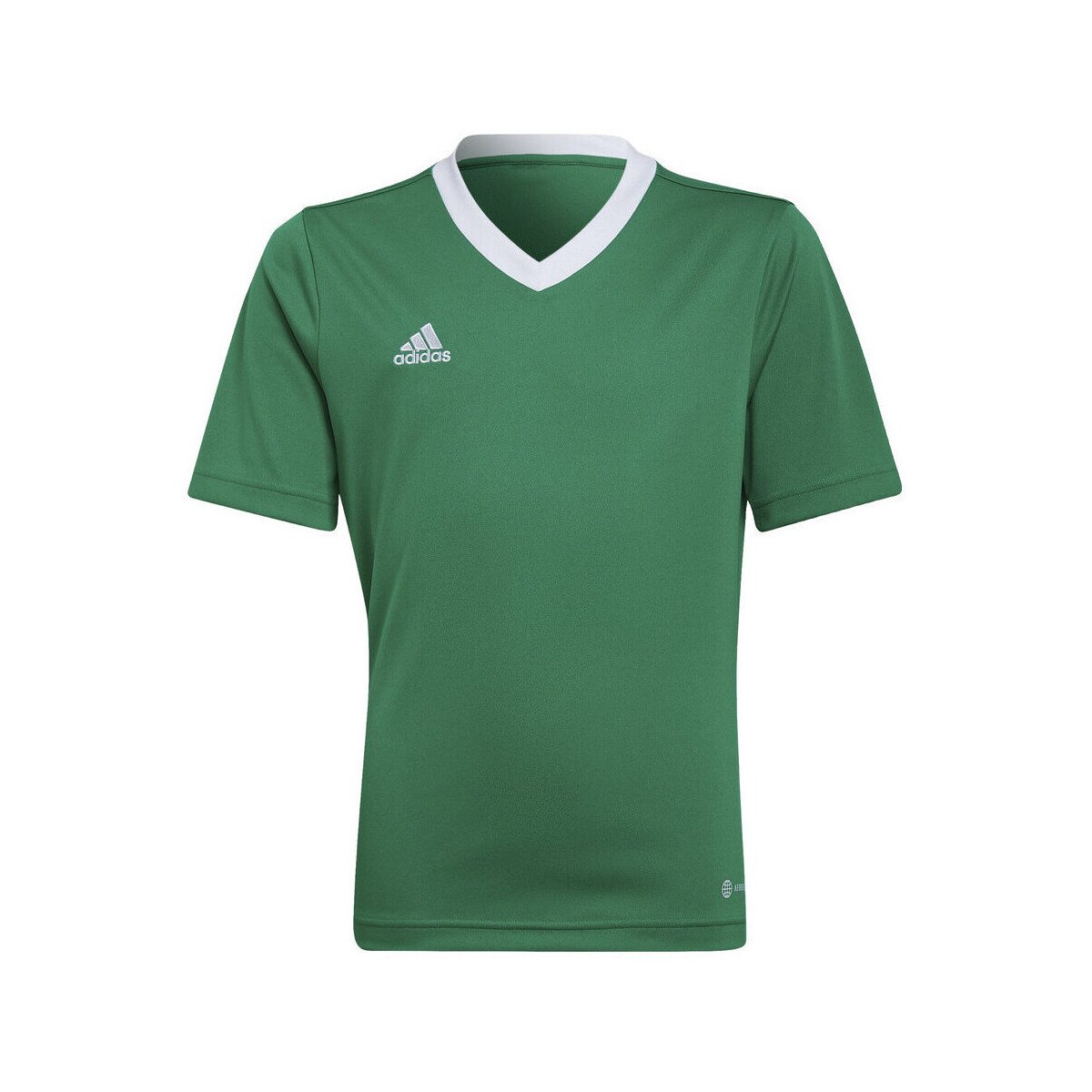 adidas Îmbracaminte T-shirt entrada 22 vert/white