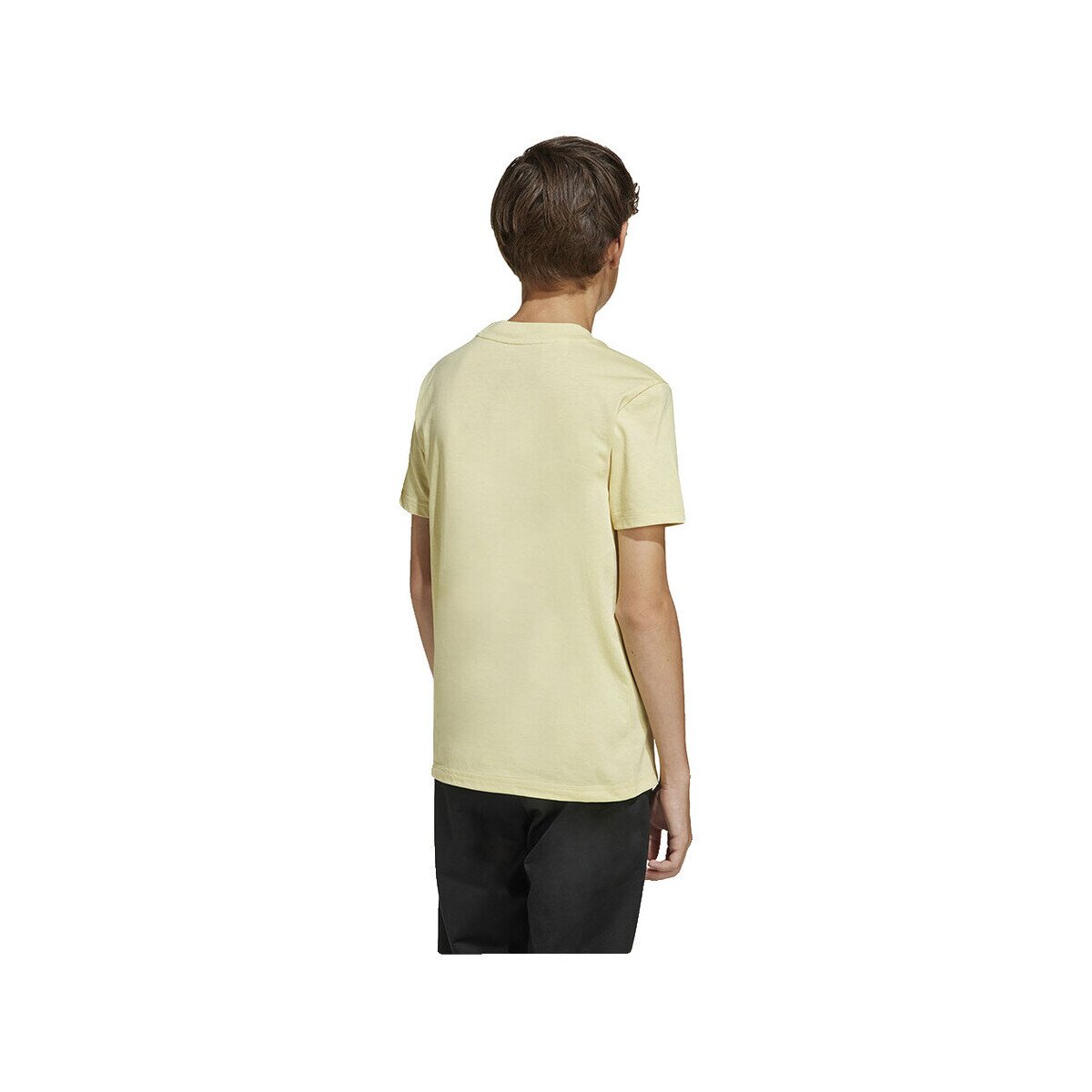 adidas Îmbracaminte T-shirt Essentials Short Sleeve imprimé