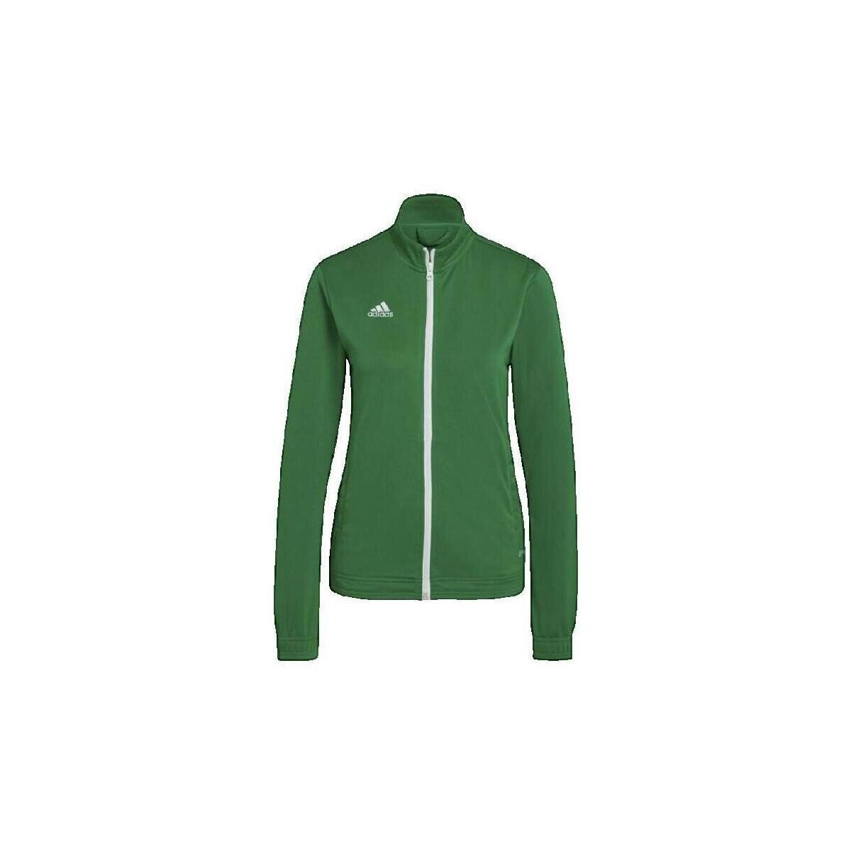 adidas Îmbracaminte Veste de survêtement Entrada 22