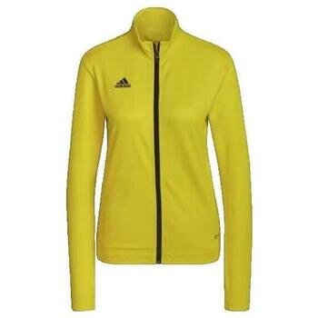 adidas Îmbracaminte Veste de survêtement Entrada 22 jaune