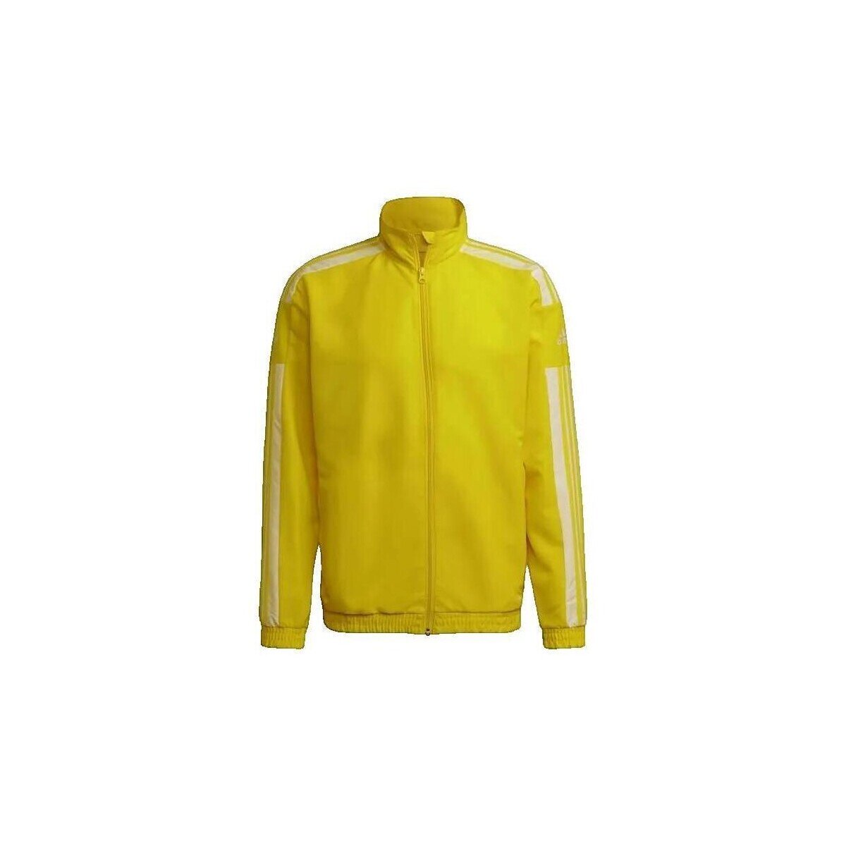 adidas Îmbracaminte Veste Squadra 21