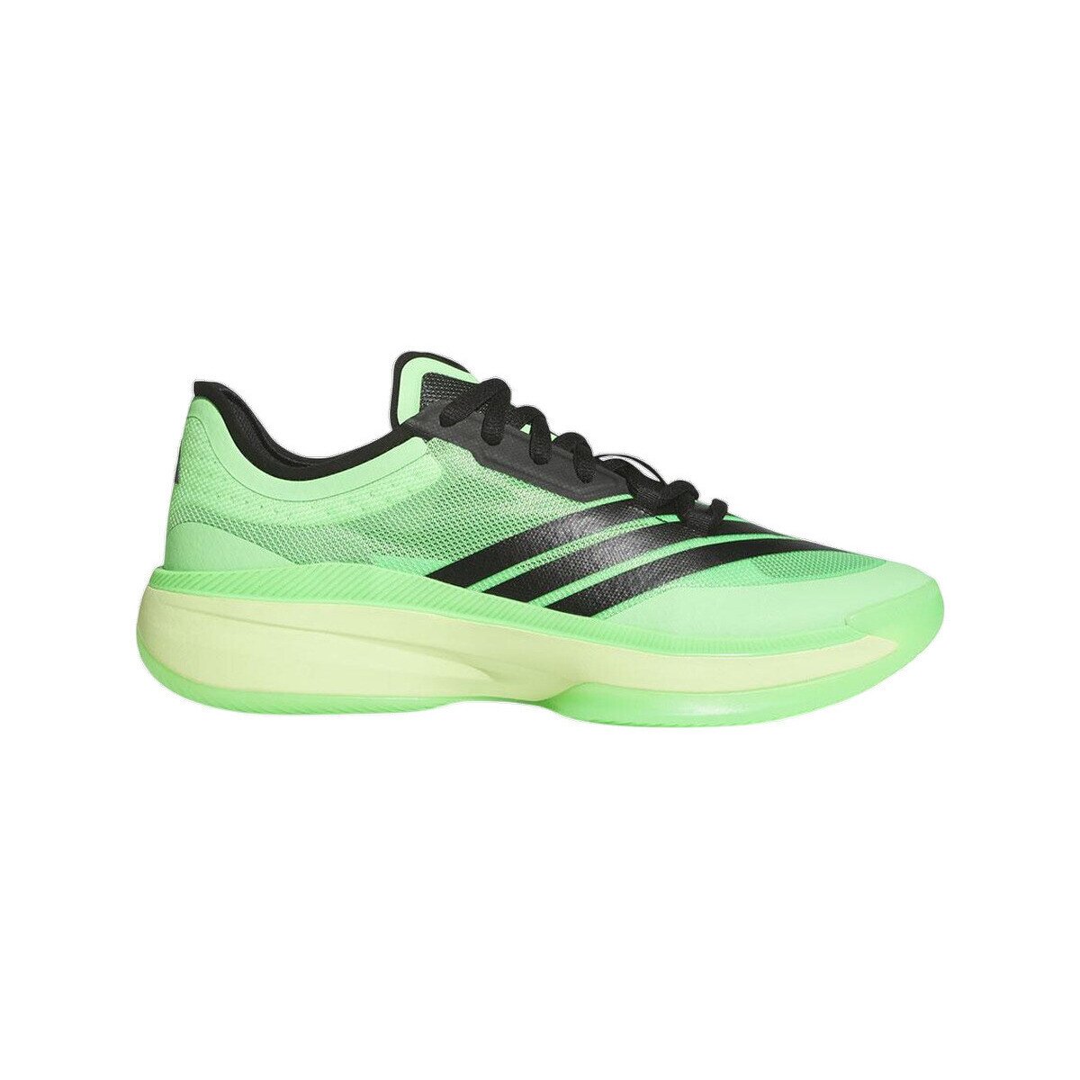 adidas Pantofi Baskets Adizero Select 3.0 léger