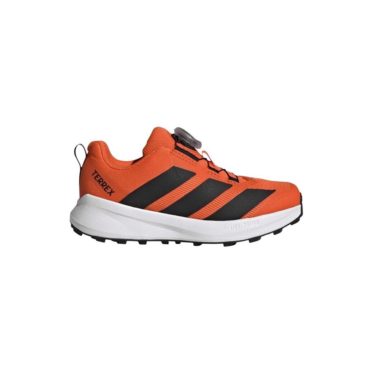 adidas Pantofi Terrex Agravic Boa