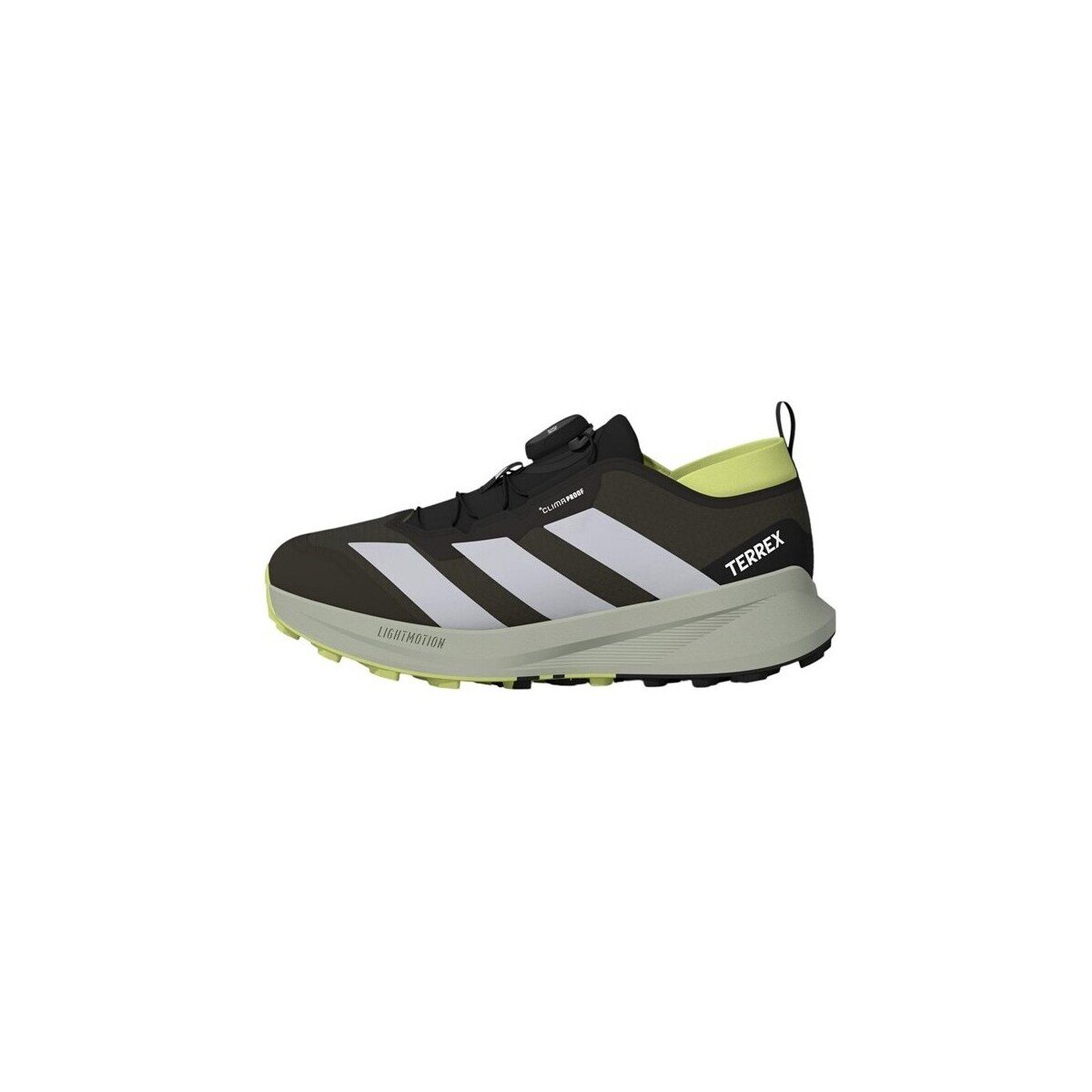 adidas Pantofi Terrex Agravic Boa