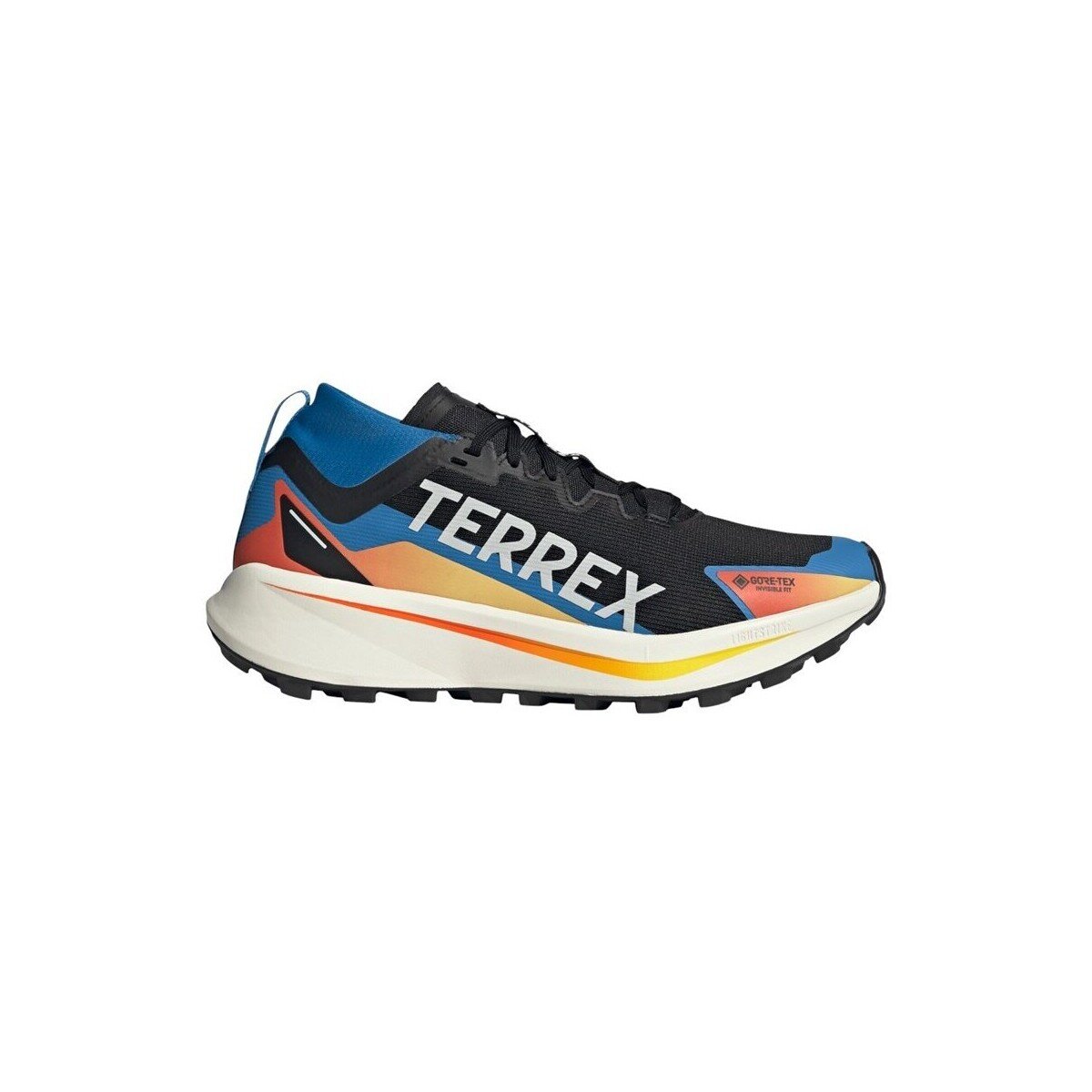 adidas Pantofi Terrex Agravic GTX