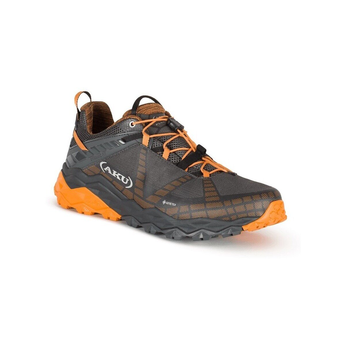 Aku Pantofi Flyrock Gtx