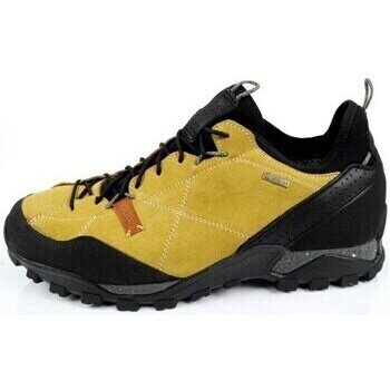 Aku Pantofi Nativa Gtx