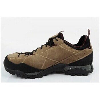 Aku Pantofi Nativa Gtx