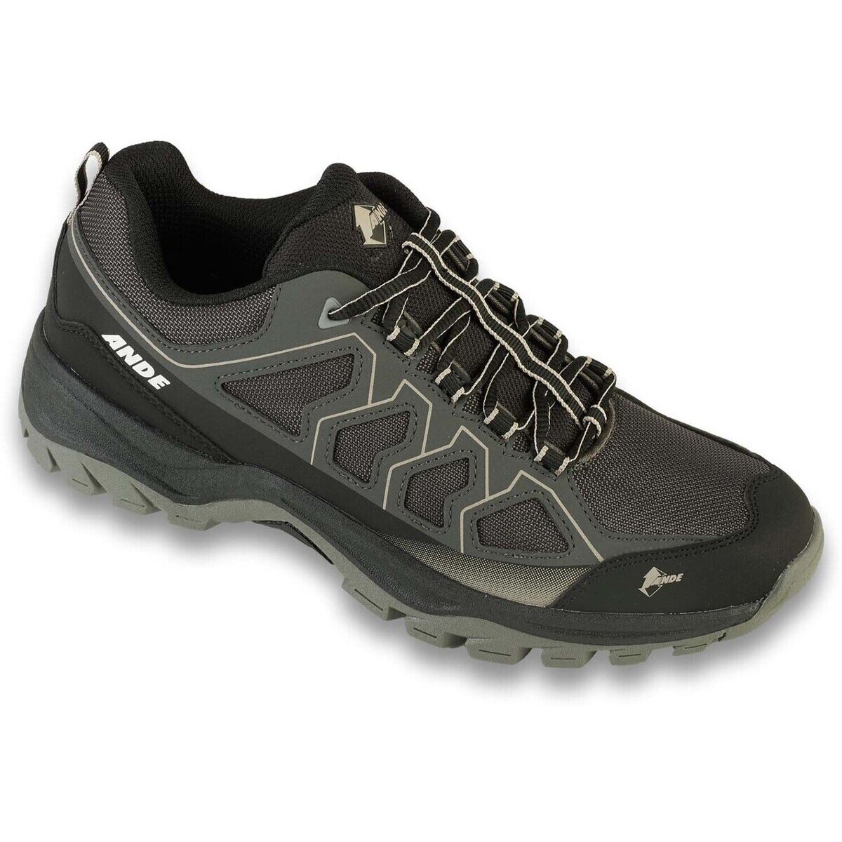 Ande Pantofi Cobra Low