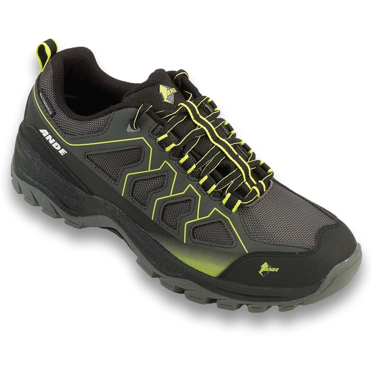 Ande Pantofi Cobra Low Wp