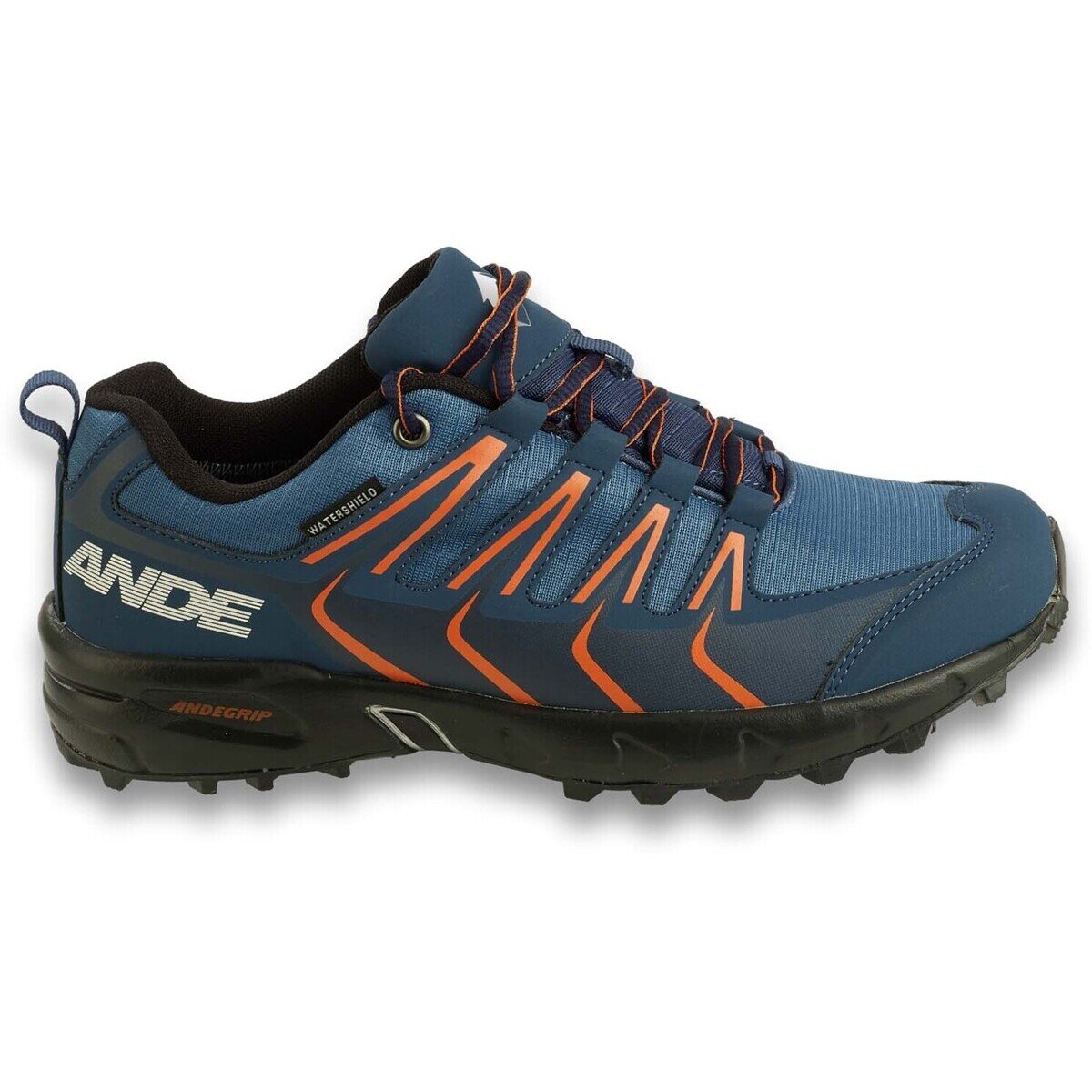 Ande Pantofi New Tour Evo Wp
