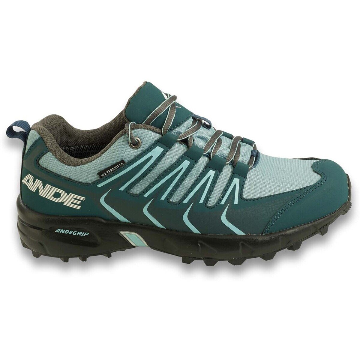 Ande Pantofi New Tour Evo Wp