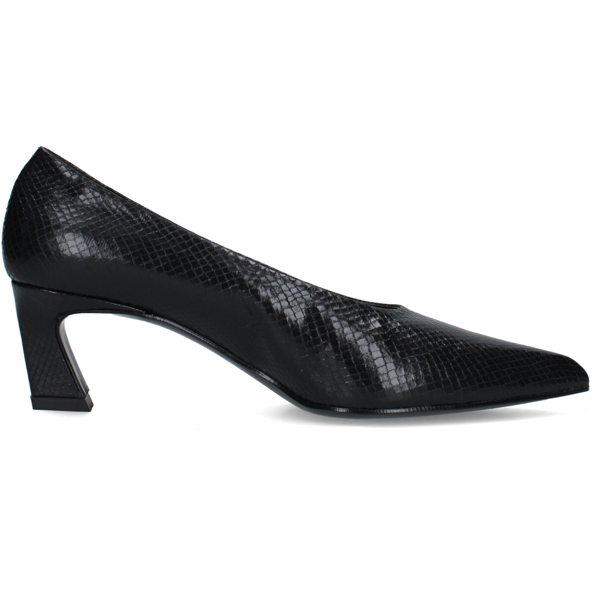 Anita Pantofi 2499001