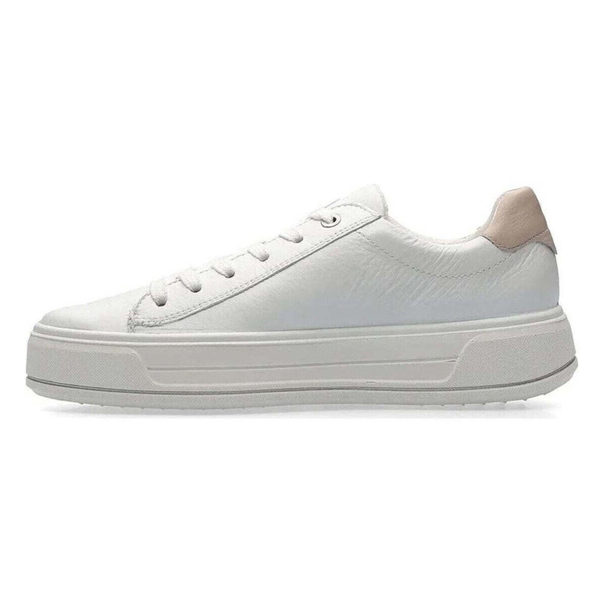 Ara Pantofi -