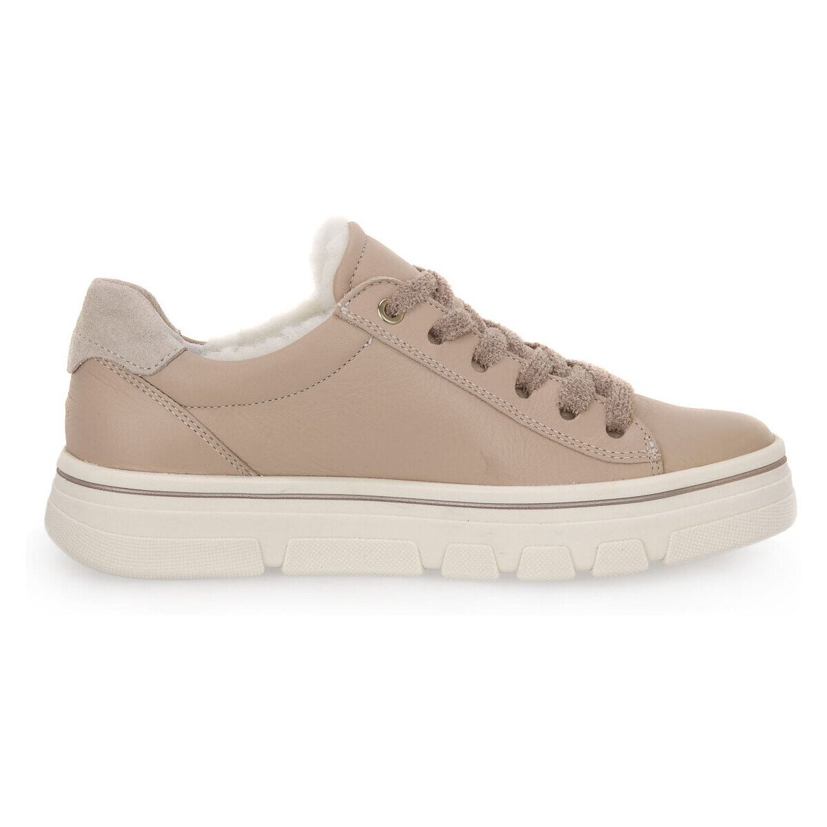 Ara Pantofi CERVO CALF