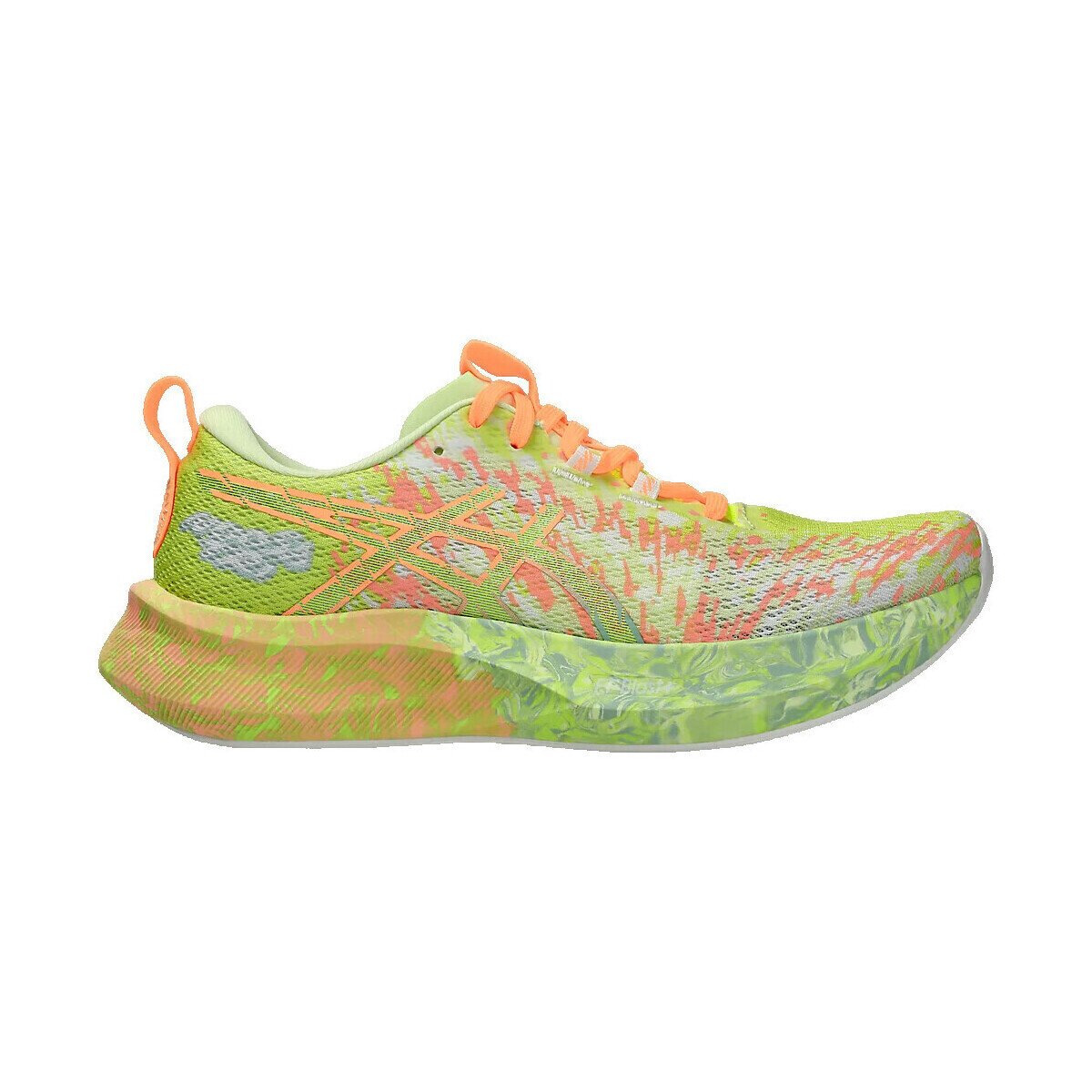 asics Pantofi Chaussures de running Noosa Tri 16 multicolore
