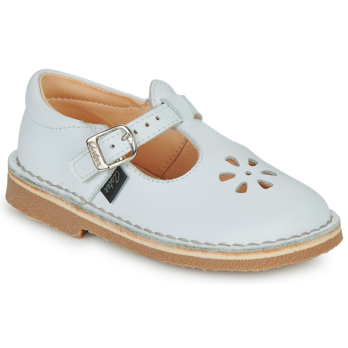Aster Pantofi DINGO