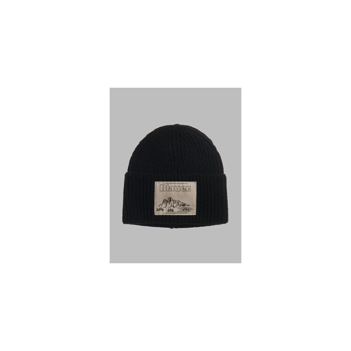 Blauer Accesorii textile 26WBLUA05603999