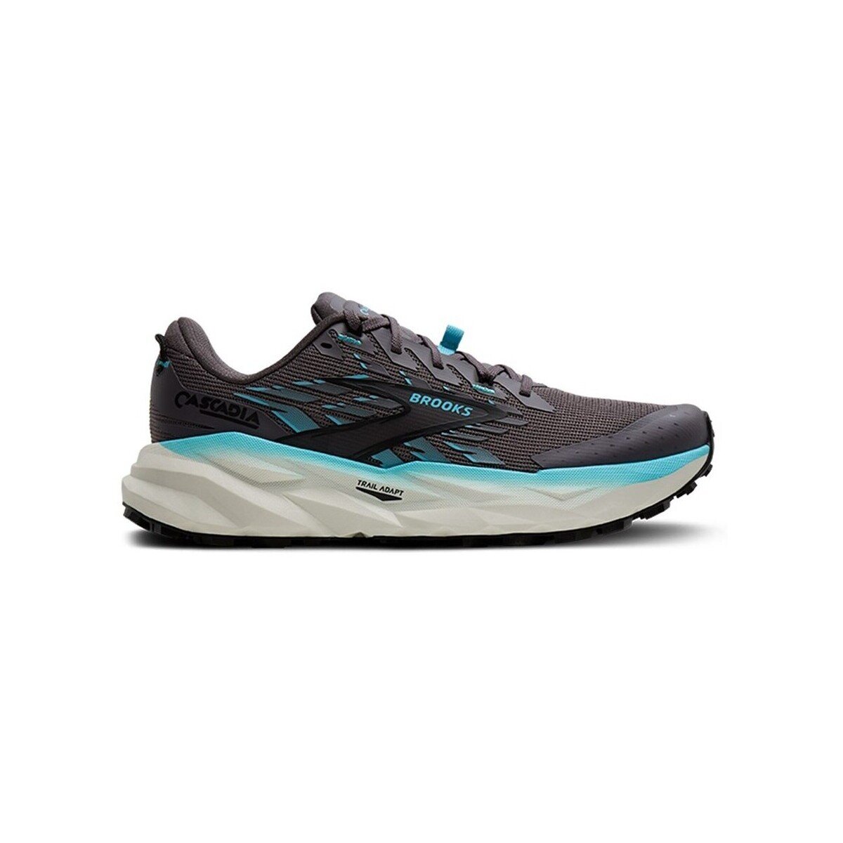 Brooks Pantofi Cascadia 19