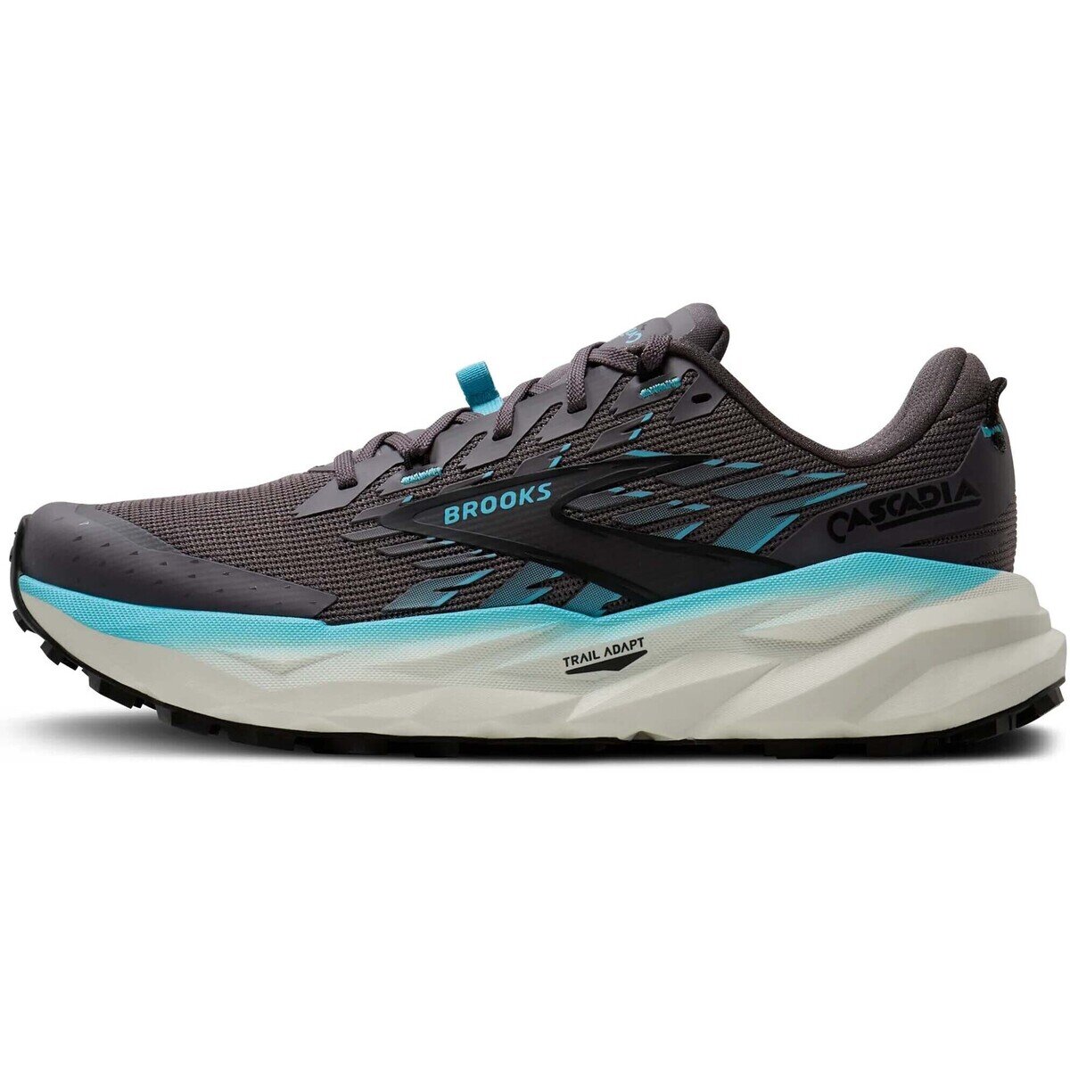 Brooks Pantofi Cascadia 19