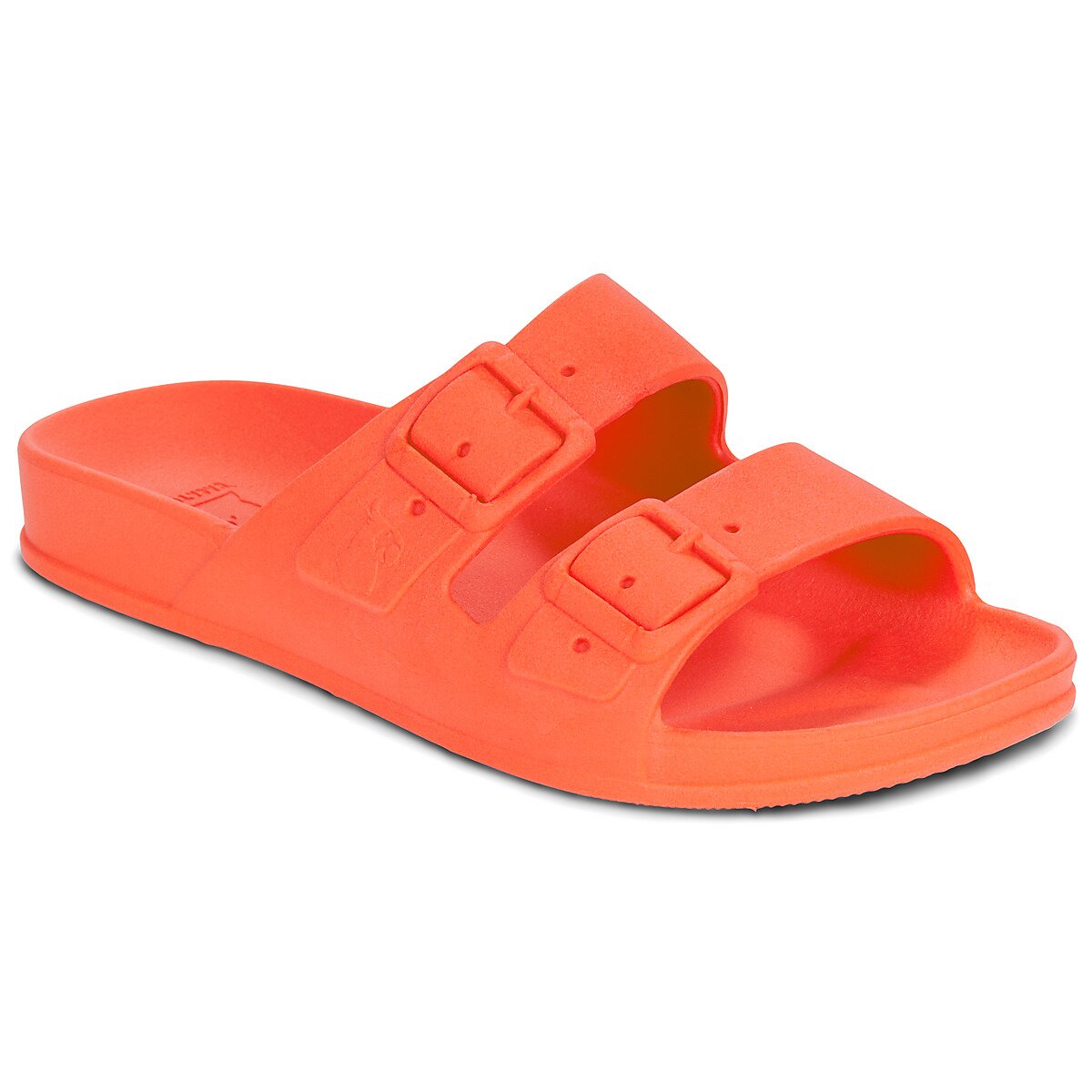 Cacatoès Pantofi BAHIA
