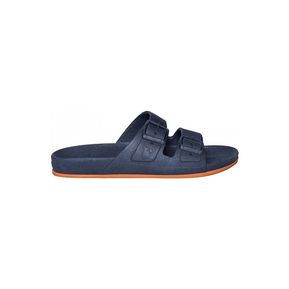 Cacatoès Pantofi Brasilia