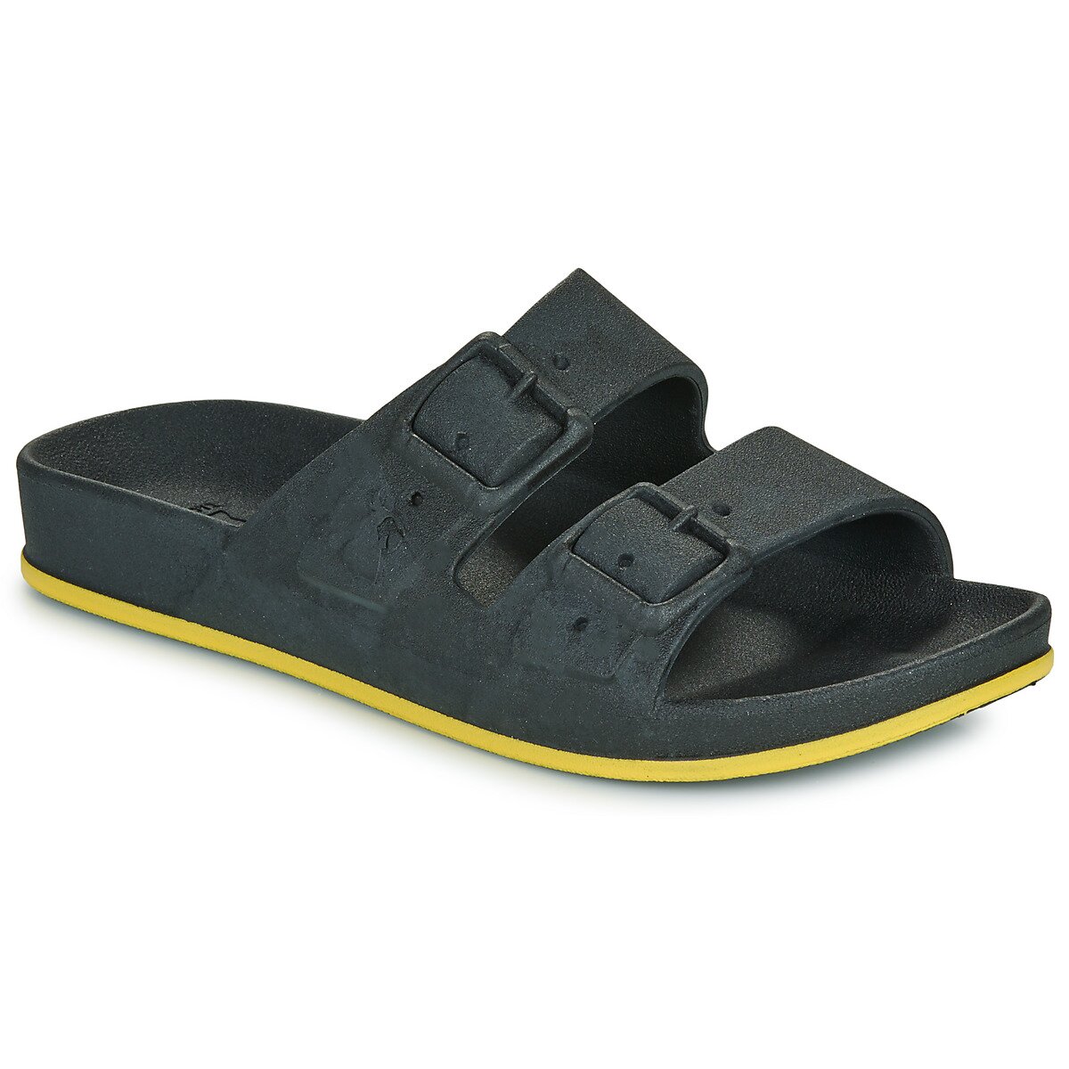 Cacatoès Pantofi BRASILIA