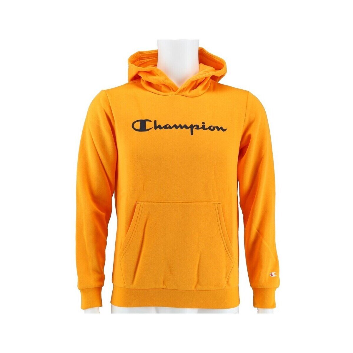 Champion Îmbracaminte Big Logo Print