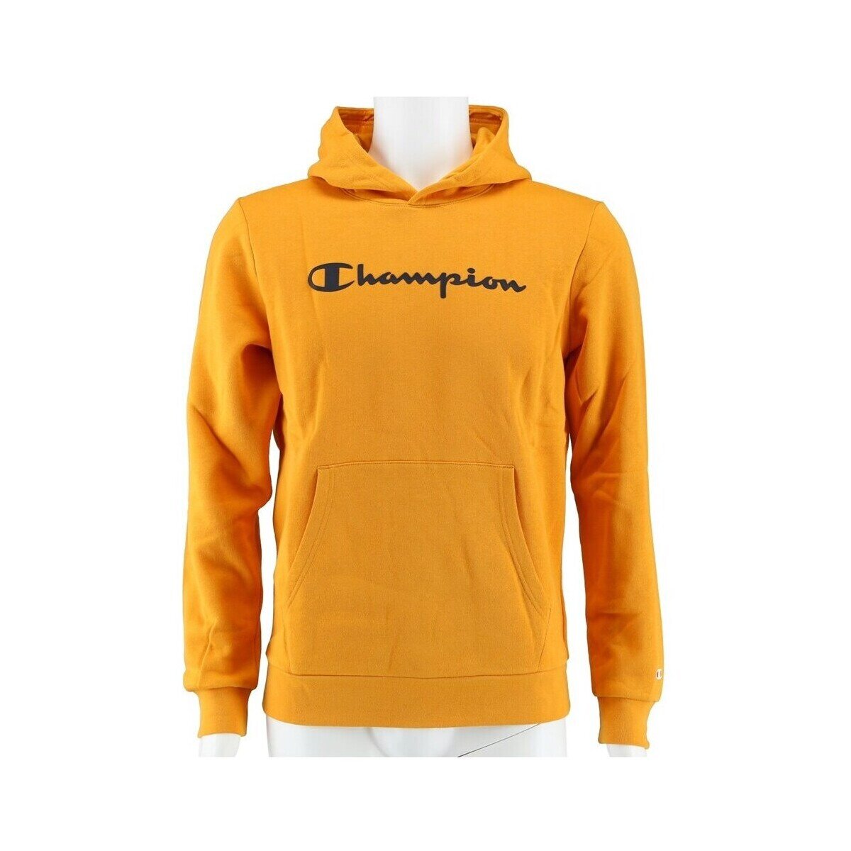 Champion Îmbracaminte Big Logo Print