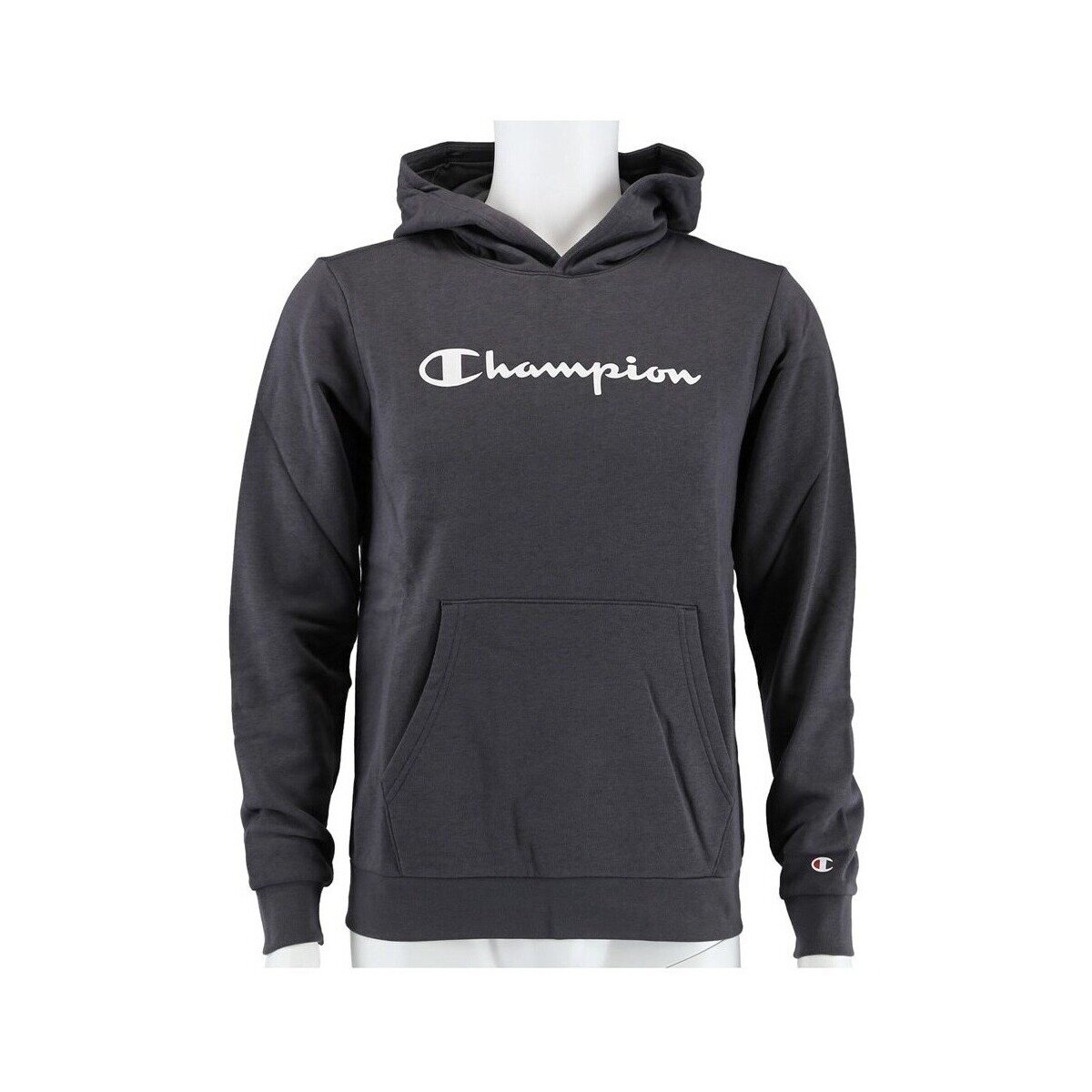 Champion Îmbracaminte Big Logo Print