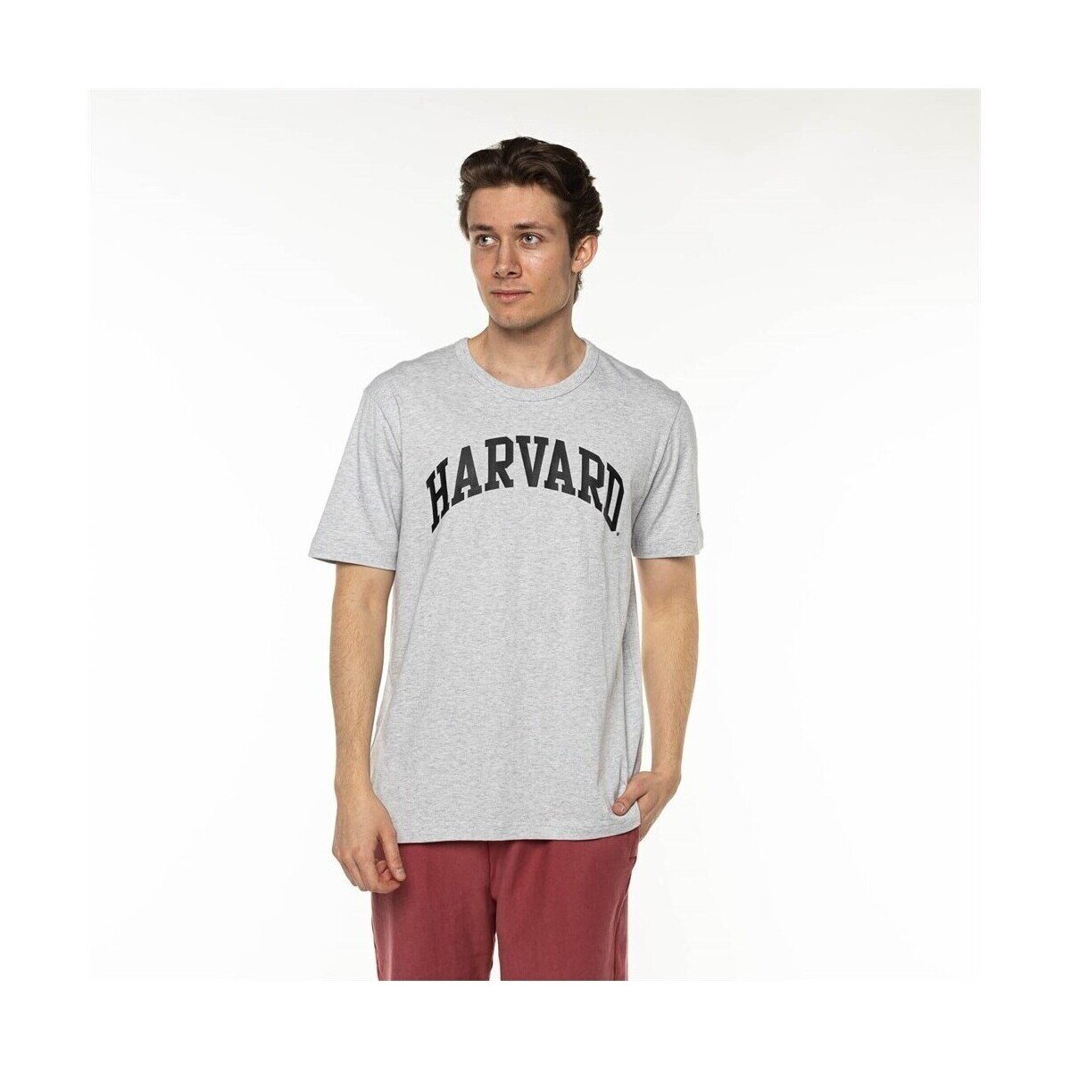 Champion Îmbracaminte Harvard