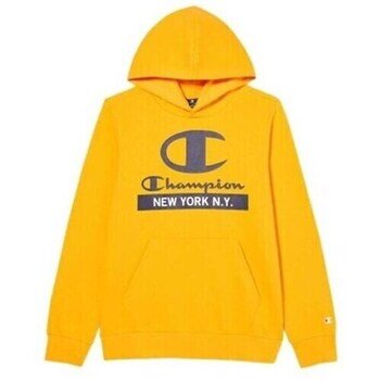 Champion Îmbracaminte Hooded Sweatshirt