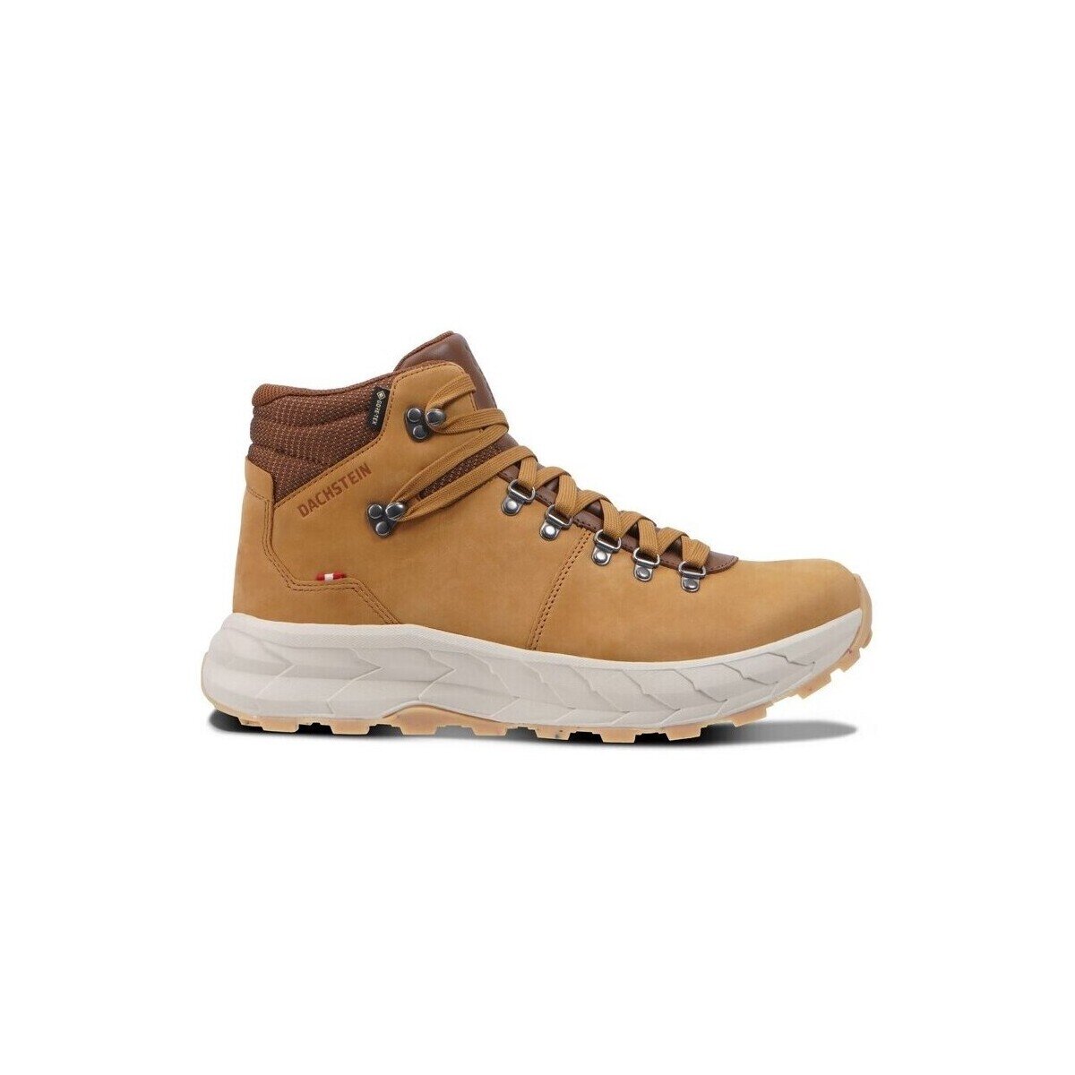 Dachstein Pantofi Atlax GTX