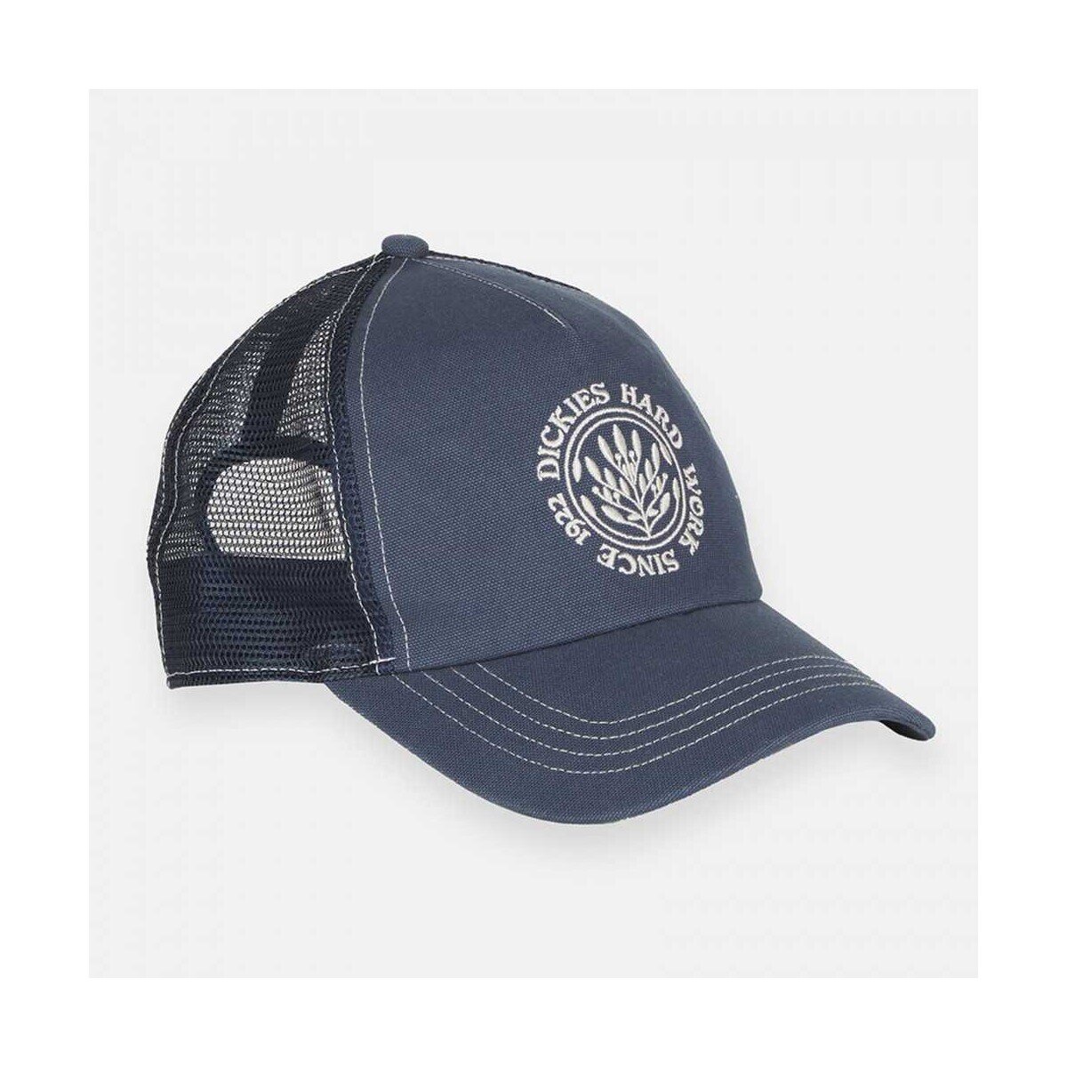 Dickies Accesorii textile Beavertown trucker