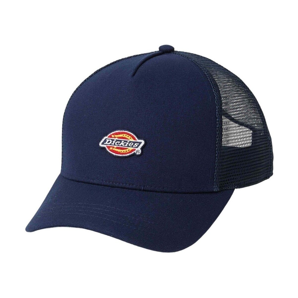 Dickies Accesorii textile Dk0a4yv3l181