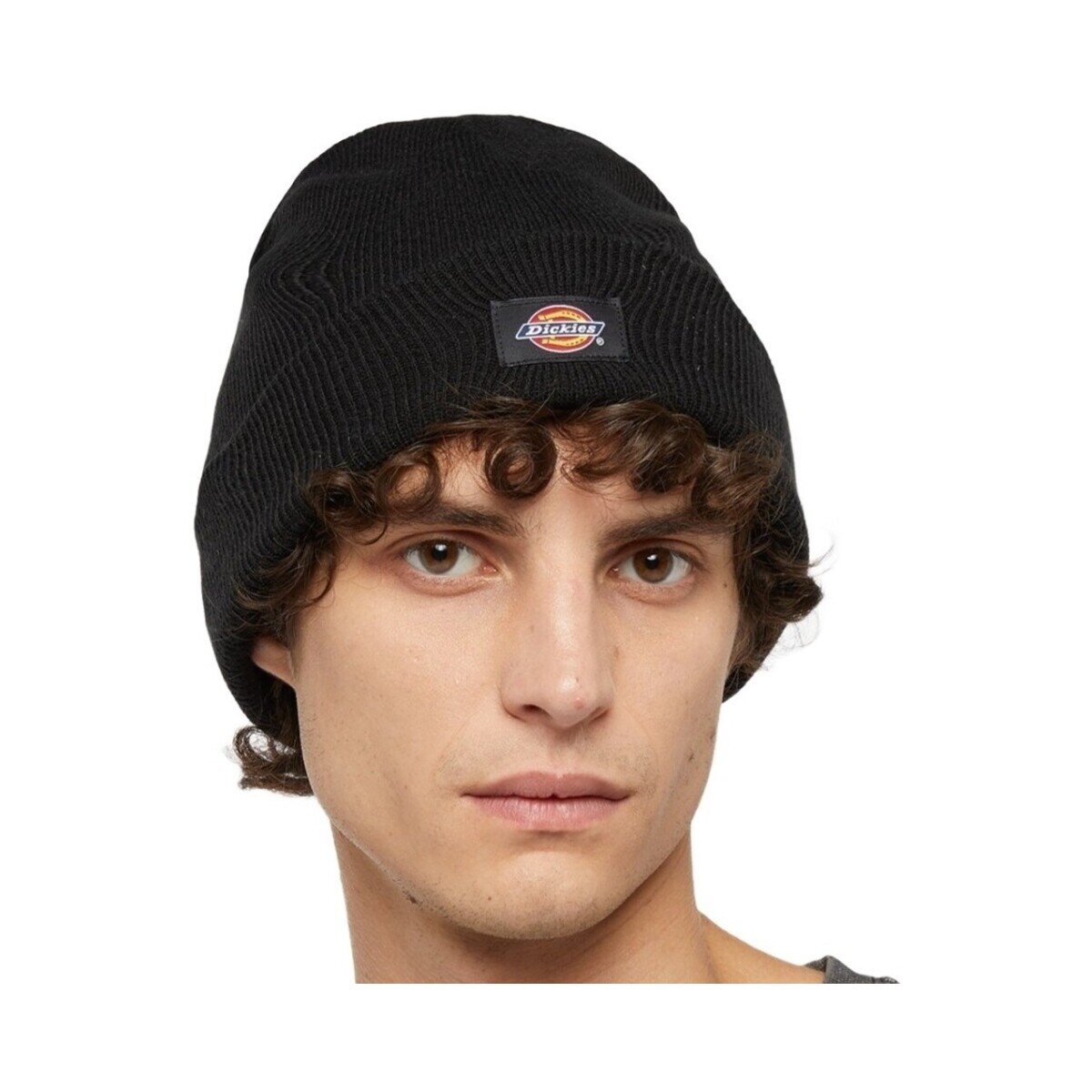 Dickies Accesorii textile Dk0a4z3rblk1