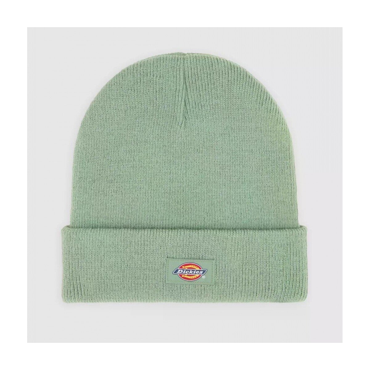 Dickies Accesorii textile Gibsland