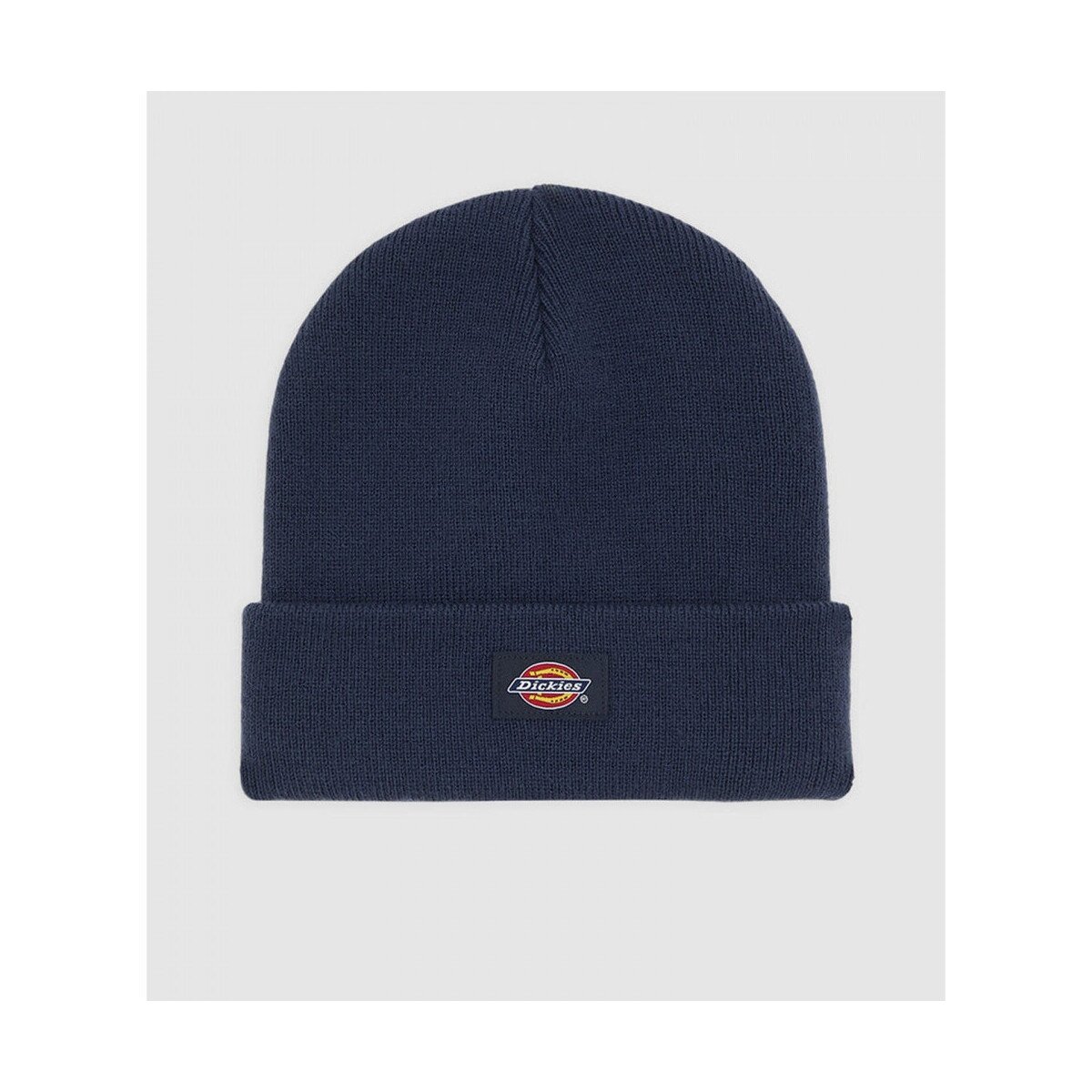 Dickies Accesorii textile Gibsland beanie