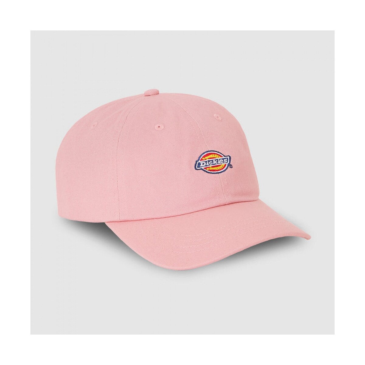 Dickies Accesorii textile Hardwick