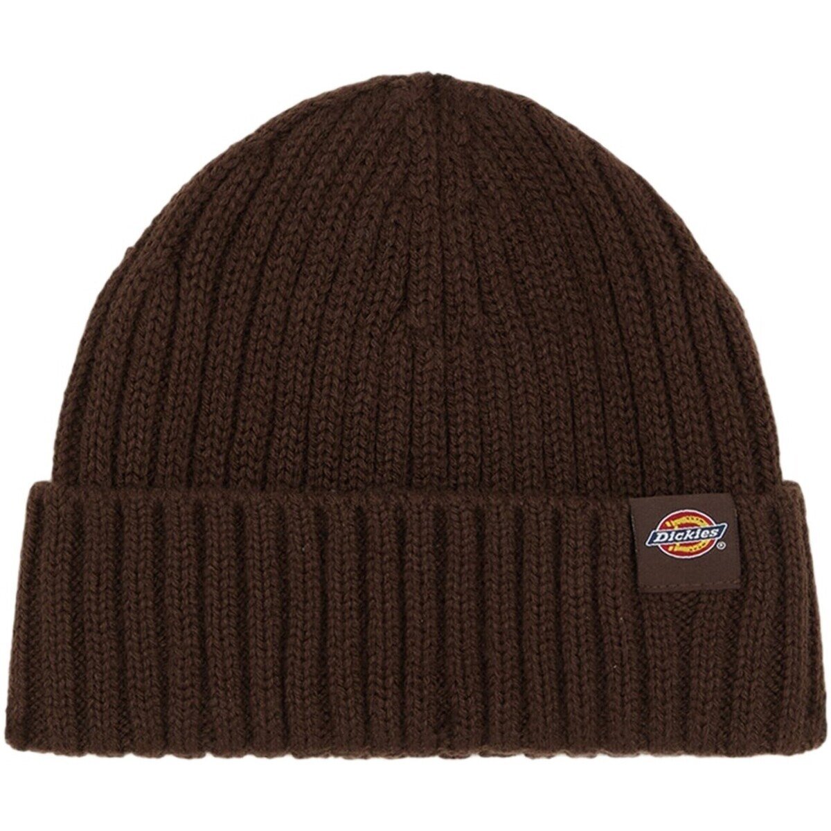Dickies Accesorii textile Lockwood Beanie