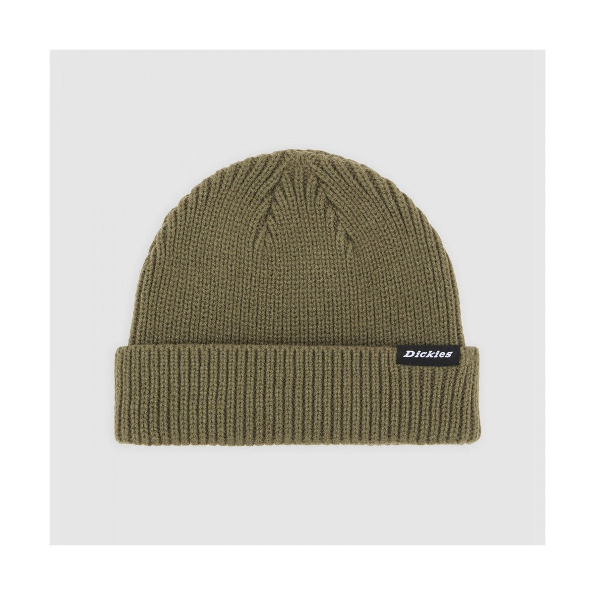 Dickies Accesorii textile Woodworth beanie