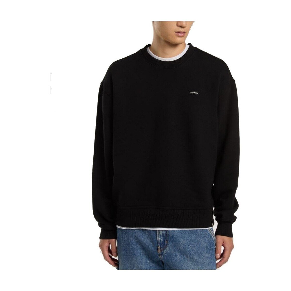 Dickies Îmbracaminte 168387