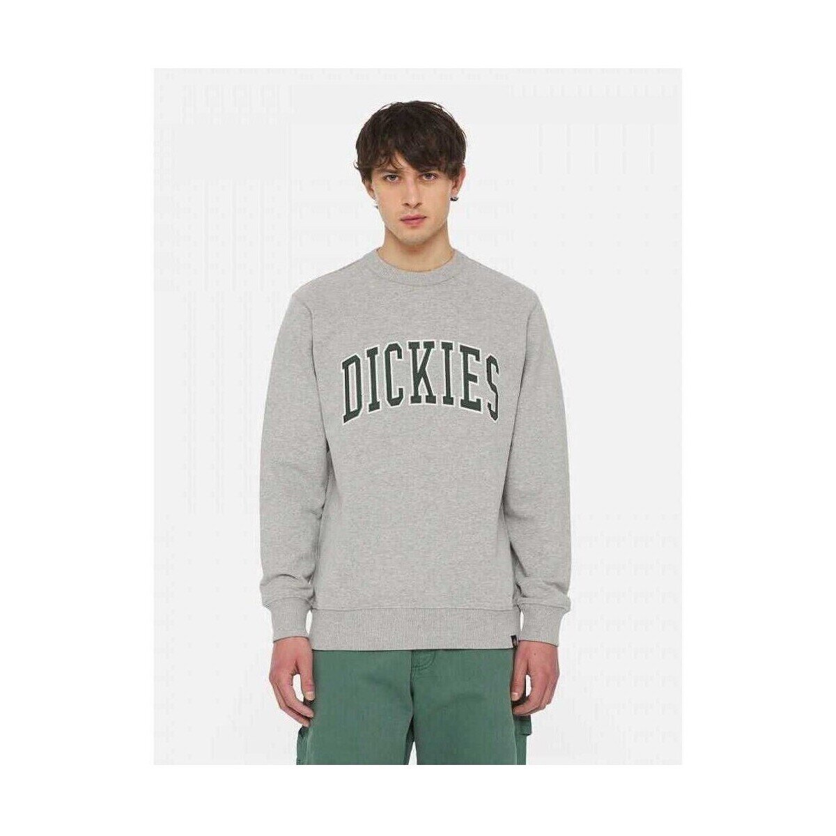 Dickies Îmbracaminte Aitkin sweatshirt