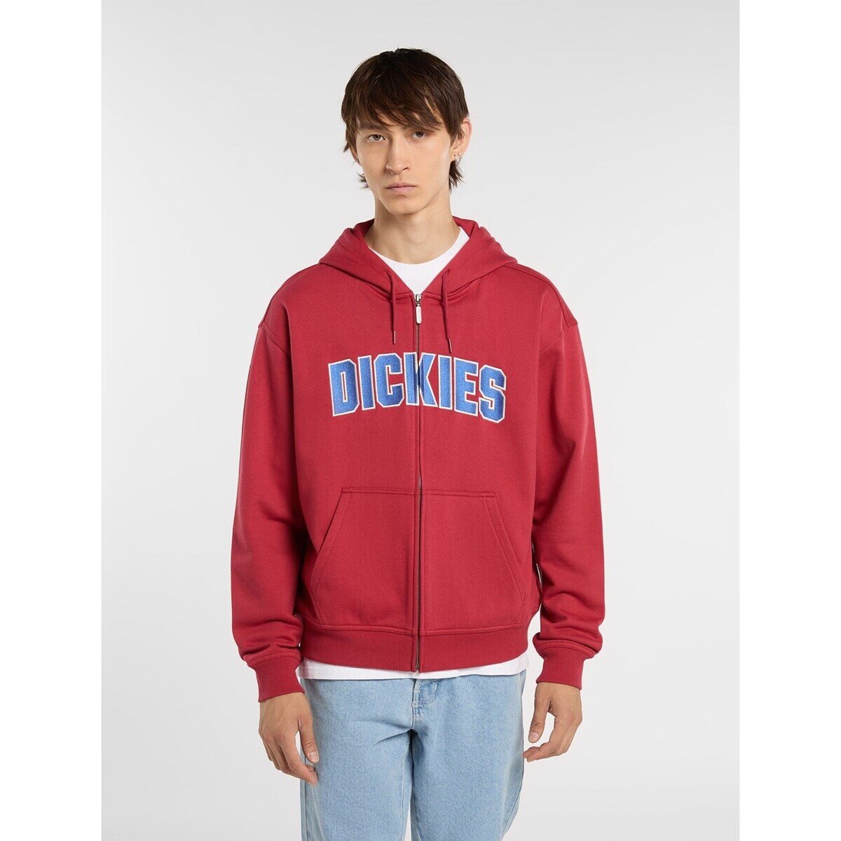 Dickies Îmbracaminte Aitkin Zt Hoodie