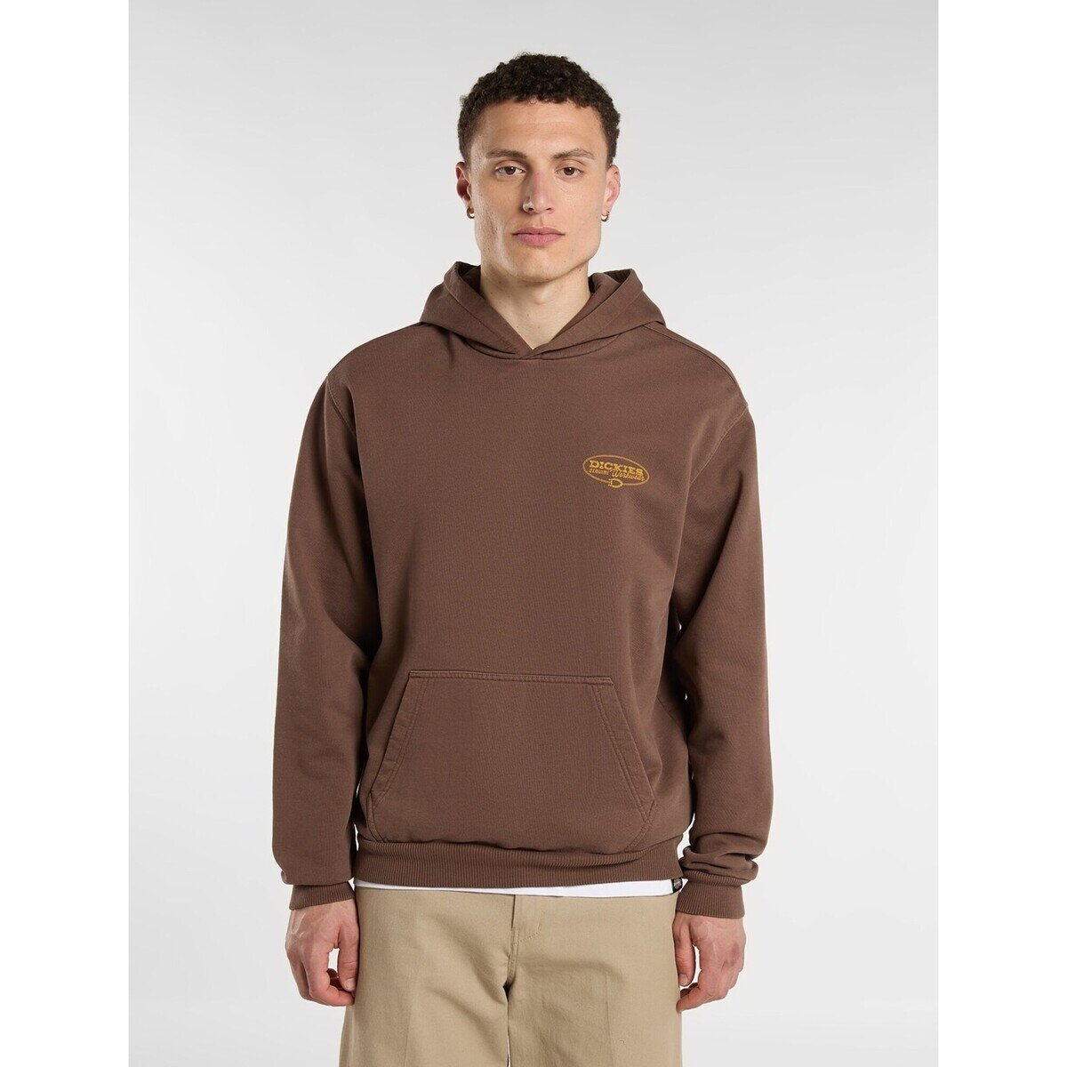 Dickies Îmbracaminte Avondale Hoodie