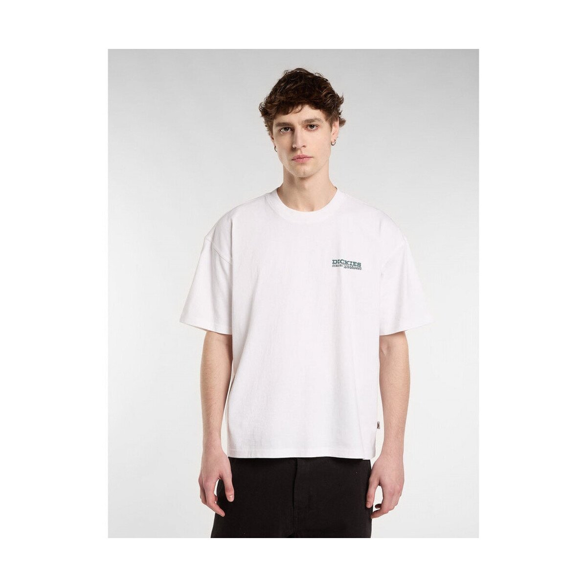 Dickies Îmbracaminte Avondale ss tee