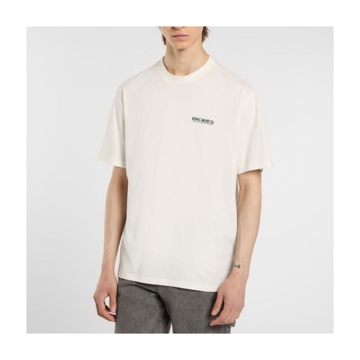 Dickies Îmbracaminte Burns Tee