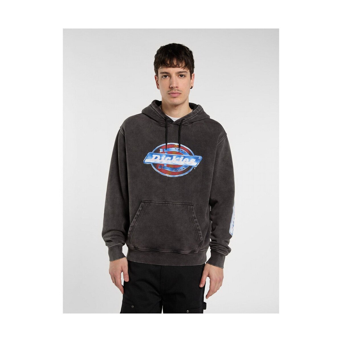 Dickies Îmbracaminte Coolidge hoodie