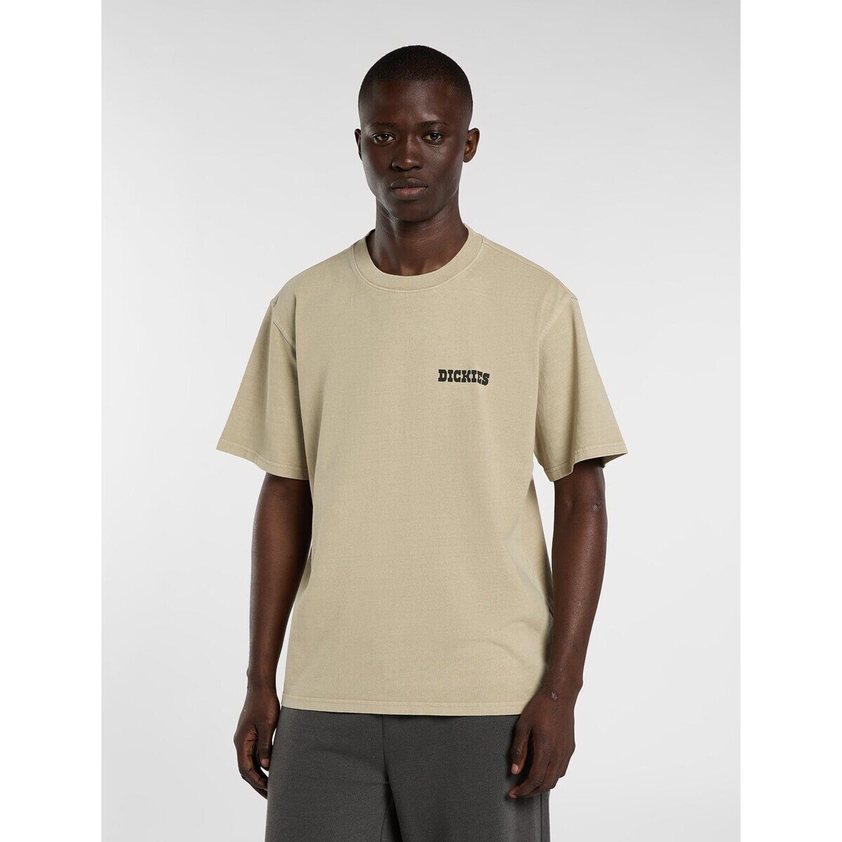 Dickies Îmbracaminte Darrtown Ss Tee
